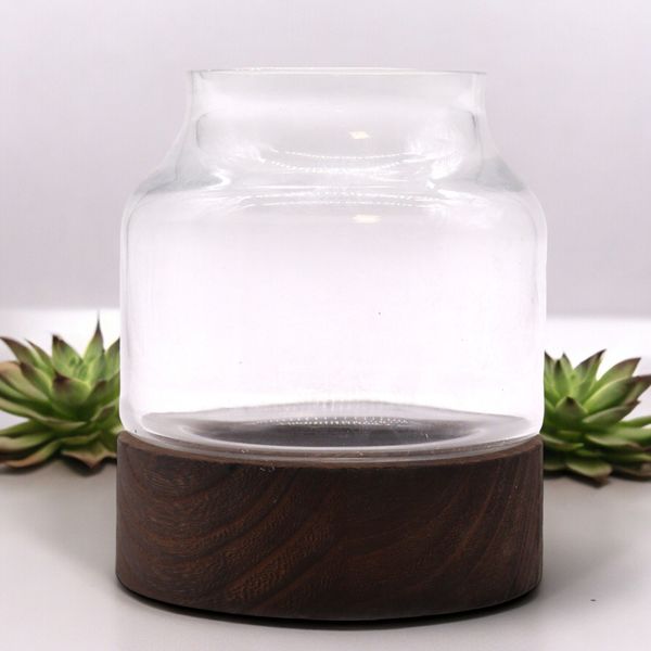 Klein Vormgegeven Terrarium op Donker Tung Hout - 12x13cm