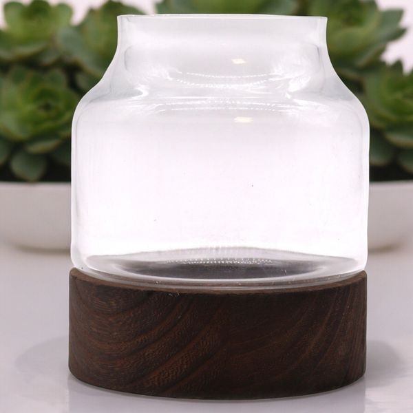Medium Vormgegeven Terrarium op Donker Tung Hout - 16x18cm