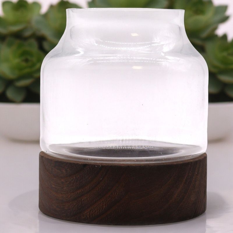 Medium Vormgegeven Terrarium op Donker Tung Hout - 16x18cm