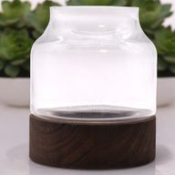 Medium Vormgegeven Terrarium op Donker Tung Hout - 16x18cm