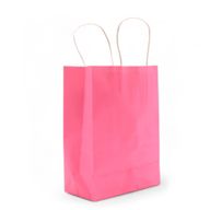 Cord Handle Paper Bag (16x22x8cm) - Blush Roze (130g)