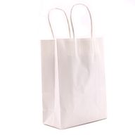Grote Cord Handle Paper Gift Bag (26x32x12cm) - Wit (130g)