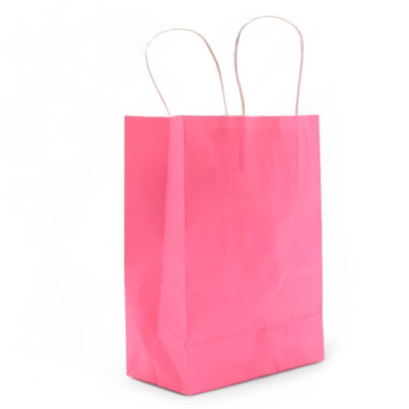 Grote Cord Handle Paper Gift Bag (26x32x12cm) - Blush Roze (130g)