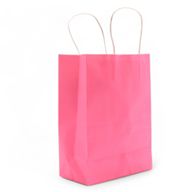 Grote Cord Handle Paper Gift Bag (26x32x12cm) - Blush Roze (130g)