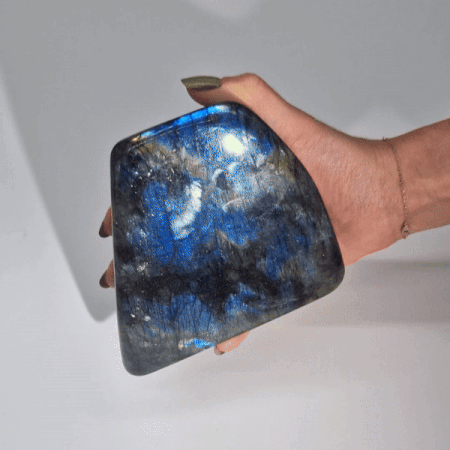 Madagascar Labradoriet Blikvangers (ca. 900-1100g 100-170mm)