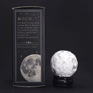 Witte Howliet Planeet op een Sola Goldstone Standaard - 40mm (30x15mm standaard)