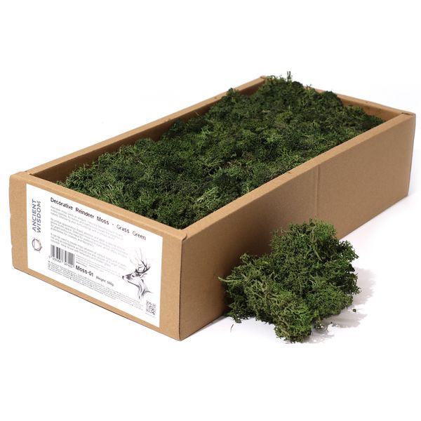 Decoratief Rendiermos van Topkwaliteit - Grasgroen - Doos van 500 g