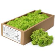 Decoratief Rendiermos van Topkwaliteit - Licht Grasgroen - Doos van 500 g