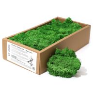 Decoratief Rendiermos van Topkwaliteit - Mosgroen - Doos van 500 g