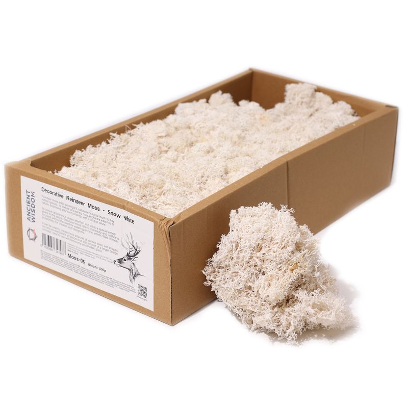 Decoratief Rendiermos van Topkwaliteit - Sneeuwwit - Doos van 500 g