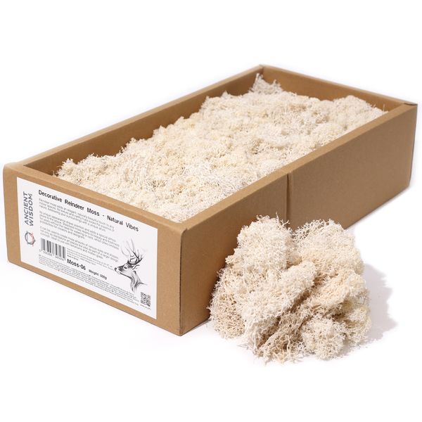 Decoratief Rendiermos van Topkwaliteit - Natuurtinten - Doos van 500 g