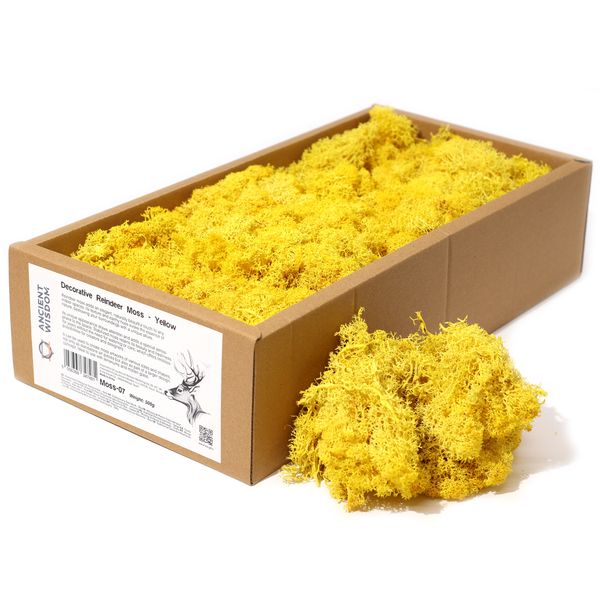 Decoratief Rendiermos van Hoge Kwaliteit - Geel - Doos van 500g