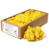 Decoratief Rendiermos van Hoge Kwaliteit - Geel - Doos van 500g