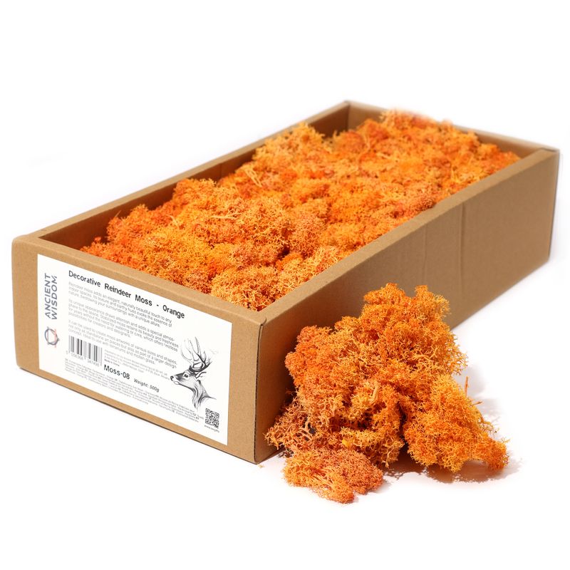 Decoratief Rendiermos van Hoge Kwaliteit - Oranje - Doos van 500g