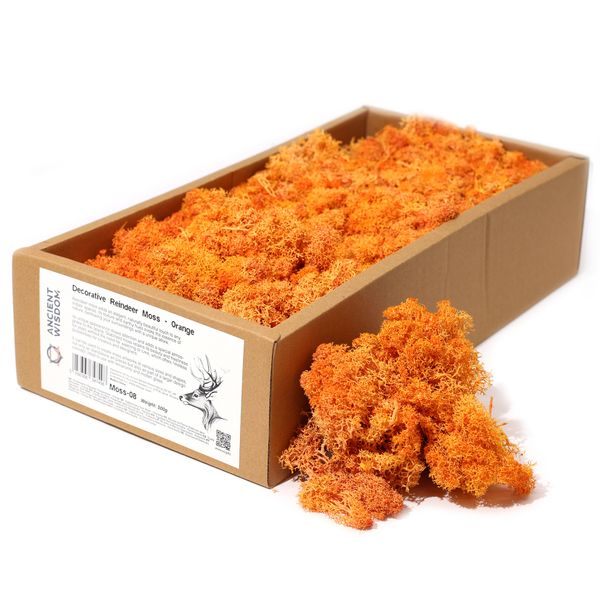 Decoratief Rendiermos van Hoge Kwaliteit - Oranje - Doos van 500g