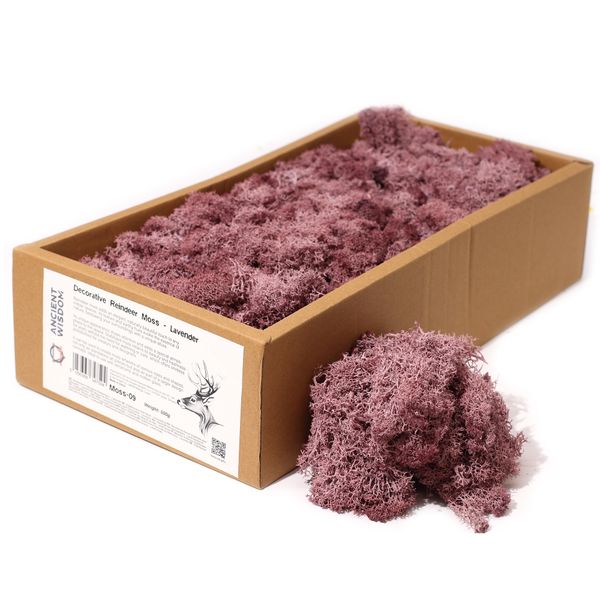 Decoratief Rendiermos van Hoge Kwaliteit - Lavendel - Doos van 500g