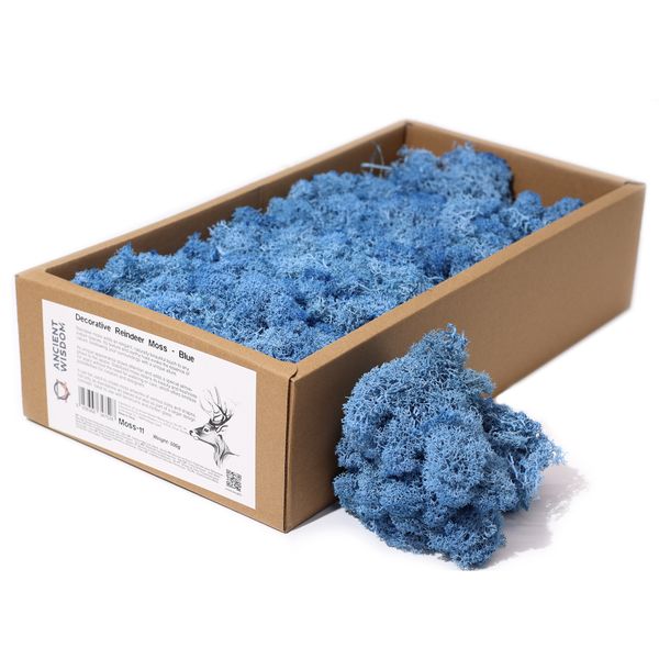 Decoratief Rendiermos van Hoge Kwaliteit - Blauw - Doos van 500g