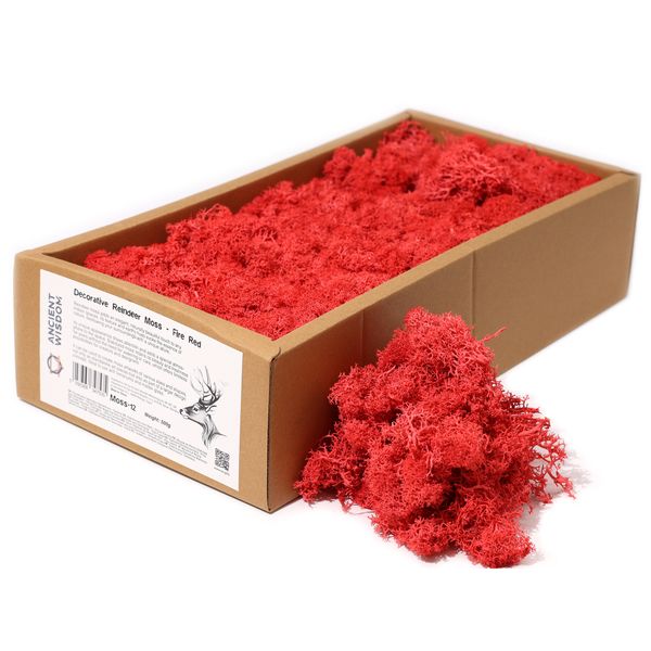 Decoratief Rendiermos van Hoge Kwaliteit - Vuurrood - Doos van 500g