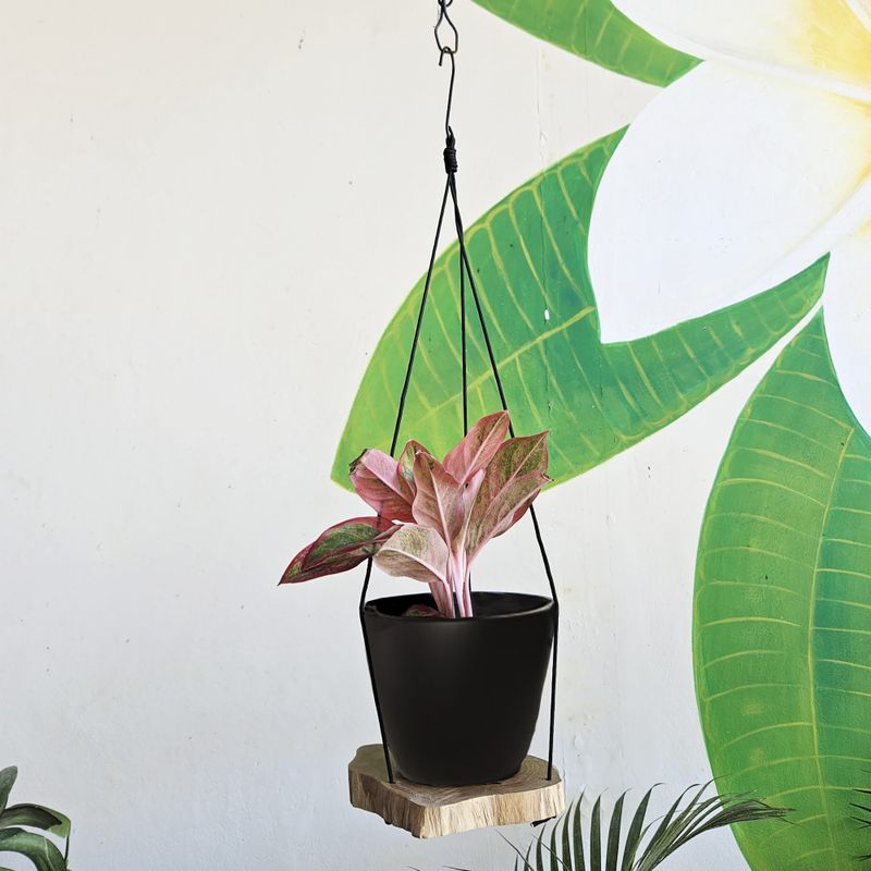 Hangende Gamal Houten Plank - Eén Niveau