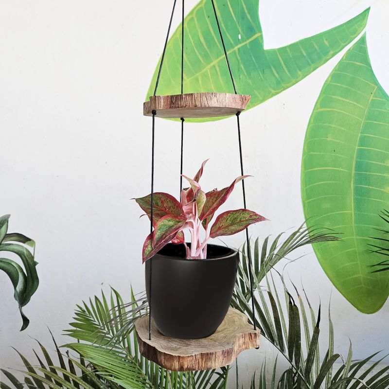 Hangende Gamal Houten Plank - Twee Niveaus