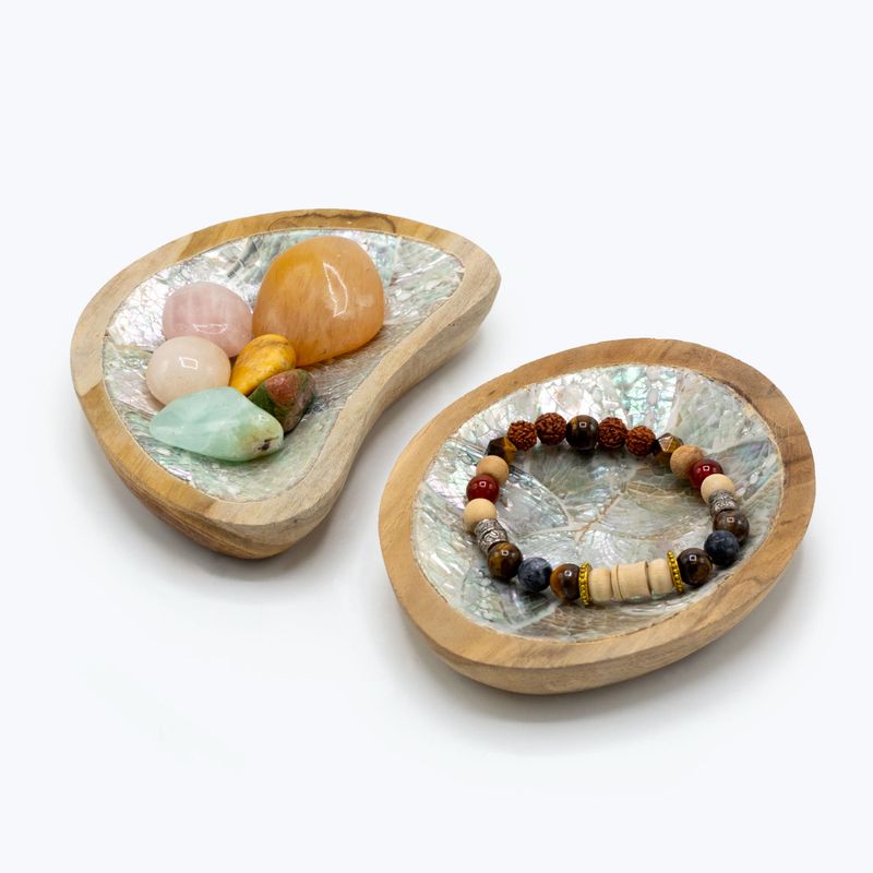 Set van 4 Teak Mini Schalen met Schelpen Decor (assorti)
