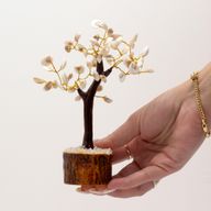 Grote Gomati Chakra Cirkels met Stenen Bomen - (60 stenen)