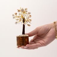Middelgrote Gomati Chakra Cirkels met Stenen Bomen - (45 stenen)