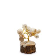 Kleine Gomati Chakra Cirkels met Stenen Bomen - (15 stenen)