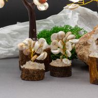Kleine Gomati Chakra Cirkels met Stenen Bomen - (15 stenen)