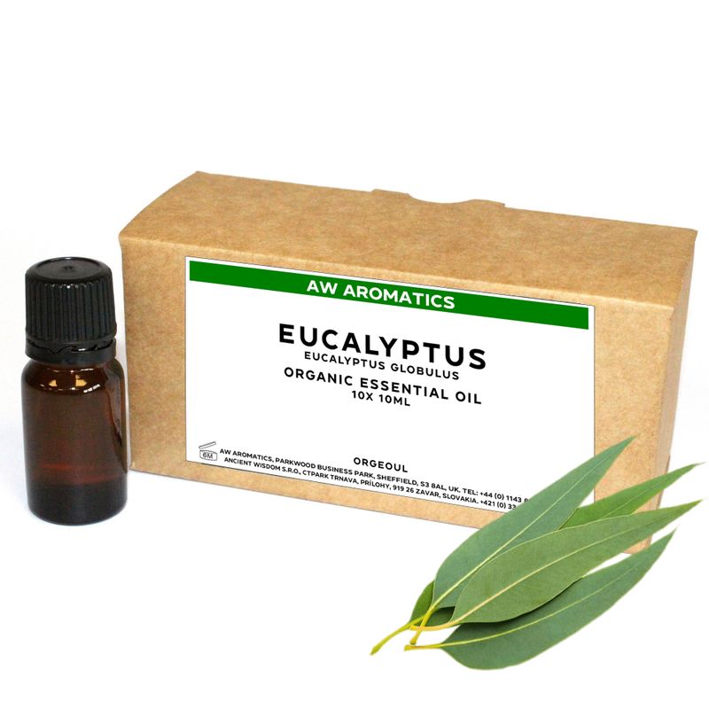 Eucalyptus Biologische Essentiële Olie 10ml - ONGELABELD