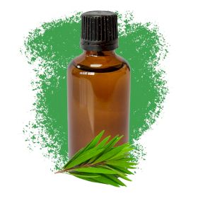 Thee boom 50ml - Ongelabeld