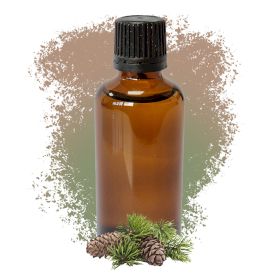 Pijnboom (Scots Pine) 50 ml - Wit etiket