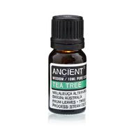 Essential Oil Starter