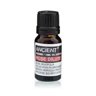Essential Oil Starter