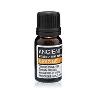 Essential Oil Starter
