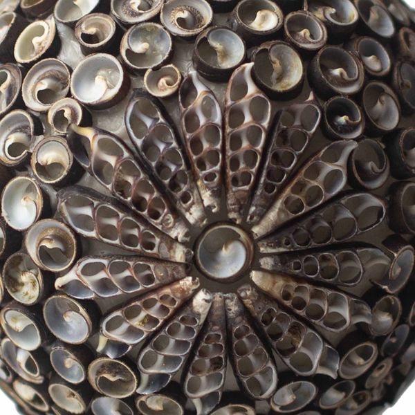 Boho Schelpenlamp - Chocolade Twist Globe - 15 cm