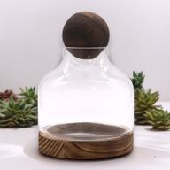 Medium Bol Top Terrarium op Donker Tung Hout - 17x22cm