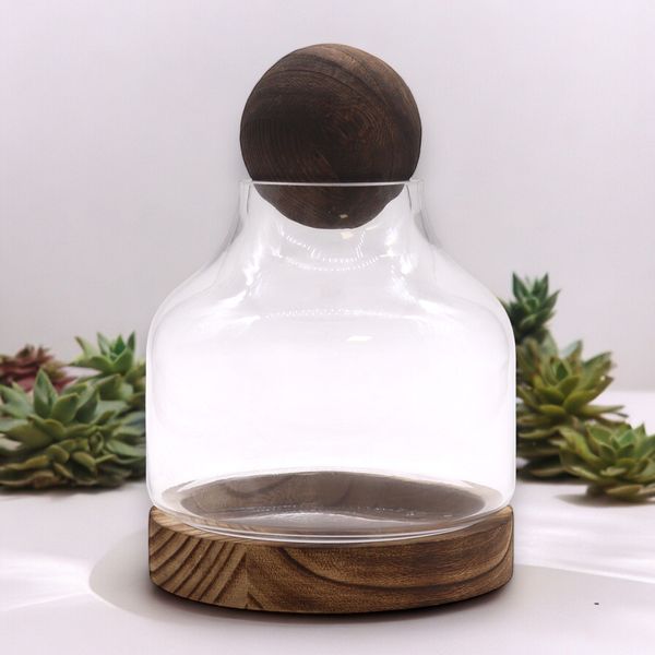 Medium Bol Top Terrarium op Donker Tung Hout - 17x22cm