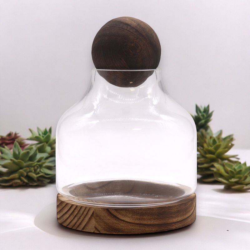 Medium Bol Top Terrarium op Donker Tung Hout - 17x22cm