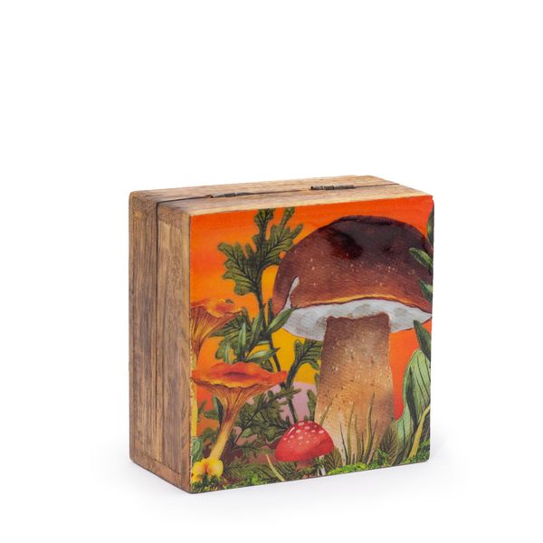 Kleine Geëmailleerde Vierkante Doos 10x10x4.2cm - Paddenstoel Design Kastanjebruin