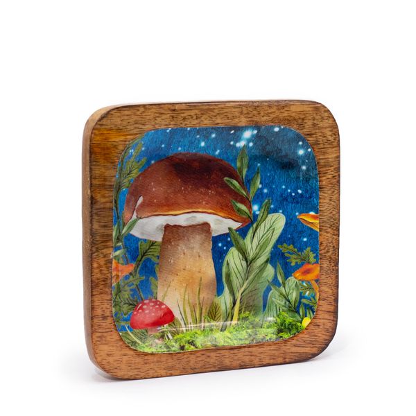 Groot Vierkant Sieradenbakje 15x15x2.5cm - Paddenstoel Design Blauwgroen