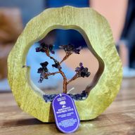 Boomtuin Edelsteen - Mango Houten Ring - Amethist - 60 steentjes