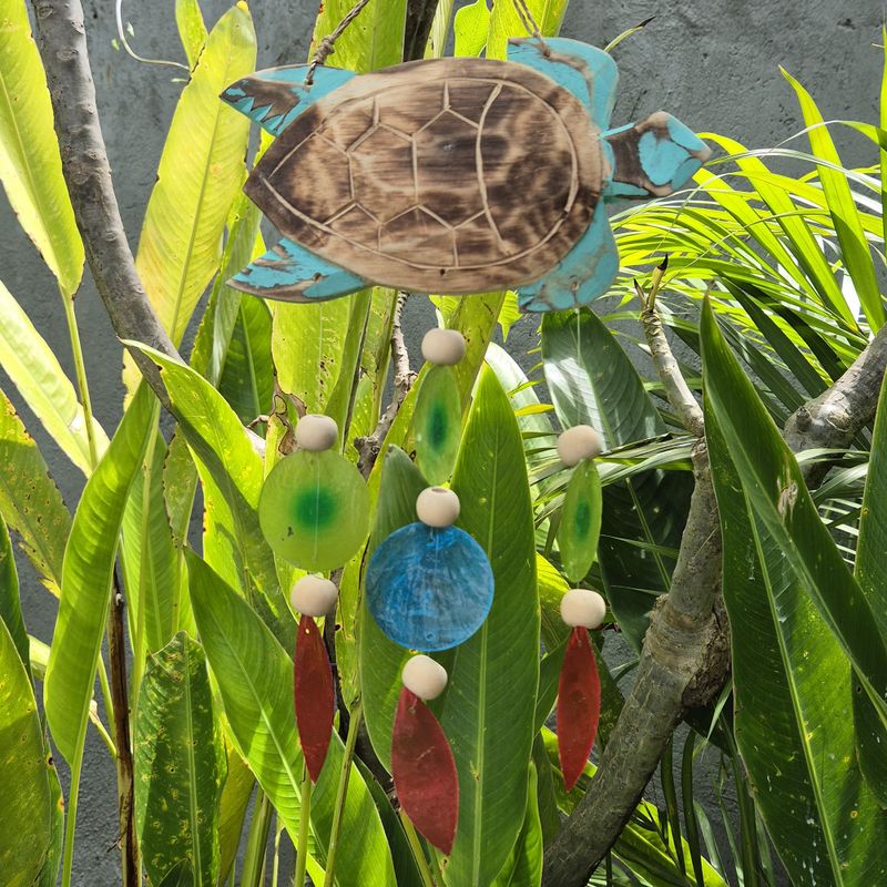 Aqua Schildpad Snijwerk en Copis Druppel