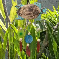 Aqua Schildpad Snijwerk en Copis Druppel