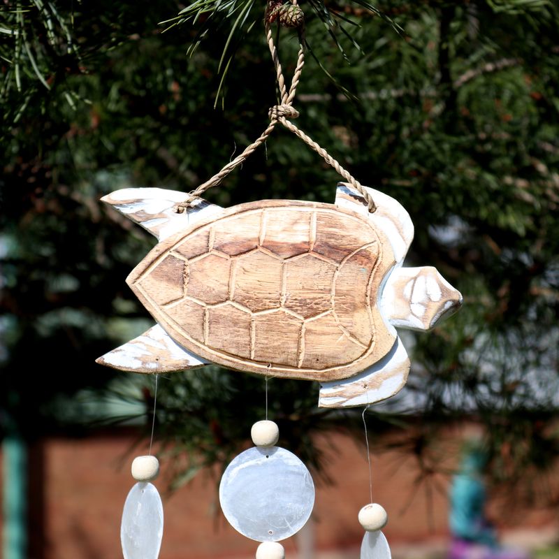 Whitewash Schildpad Snijwerk en Natuurlijke Copis Druppel