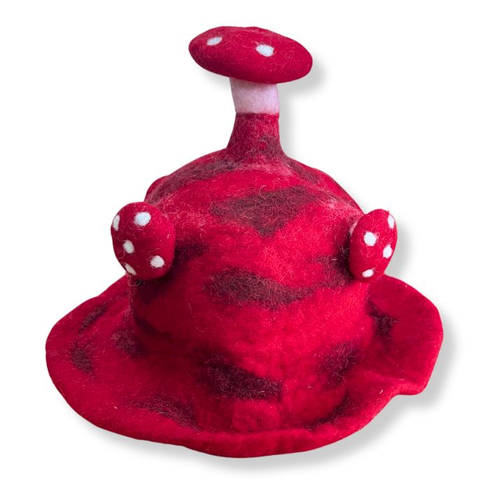 Felted Paddenstoelenhoed - Rood als een Stormloop
