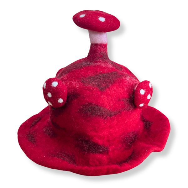 Felted Paddenstoelenhoed - Rood als een Stormloop