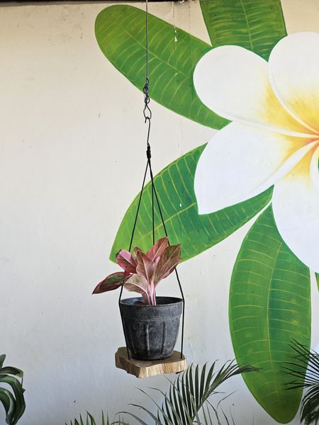 Hangende Gamal Houten Plank - Eén Niveau