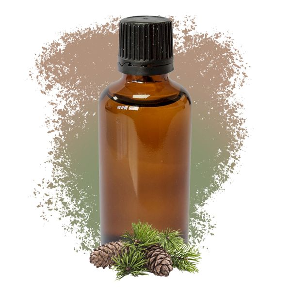 Pijnboom (Scots Pine) 50 ml - Wit etiket