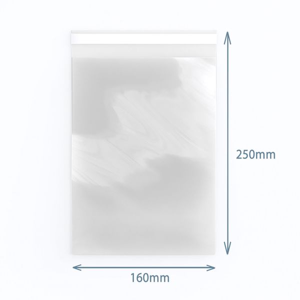 Polypropylene Ritssluiting Verzegeld Zakje 160x250mm